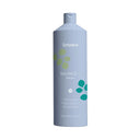 Shampoo Seboregolatore ECHOSLINE BALANCE - Olisa