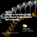 Serie Expert Absolut Repair Molecular Oil 90 ml