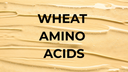 Wheat Amino Acids: forza vegetale per i tuoi capelli